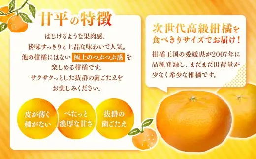 甘平 約2kg みかん ミカン 蜜柑 柑橘 柑橘系 柑橘類 くだもの 果物 フルーツ 果実 果汁 果肉 国産 愛媛県産 愛媛みかん かんぺい 果肉感 【2027年2月下旬-4月下旬発送予定】 ( 1118 )