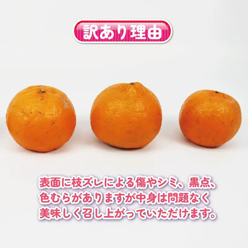 訳あり ぽんかん 約 5kg くり房 ぽんかん B013-204006