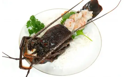 伊豆天然イセエビ　約720g（2尾） 1404 ／ 稲取水産 活 伊勢海老 静岡県 東伊豆町