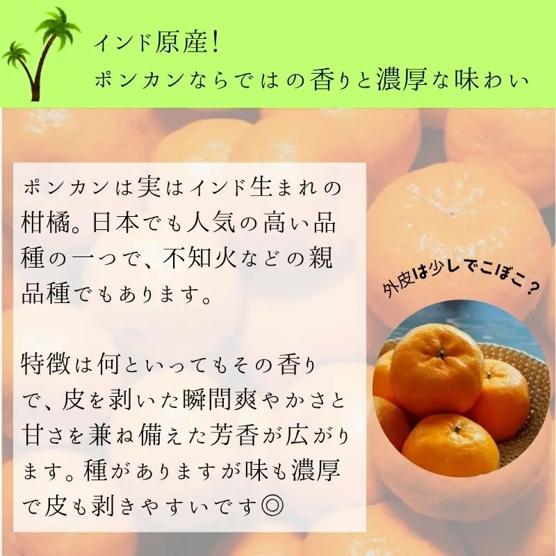 かんきつの本場　ありだのポンカン (約5kg)（B157-1）