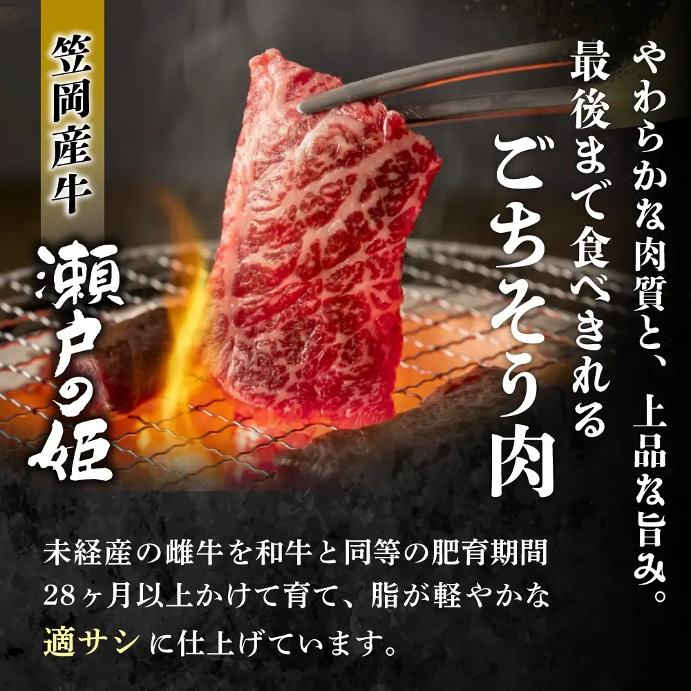 瀬戸の姫（スライス） 牛肉 すき焼き しゃぶしゃぶ 430g　【tfam004-01】