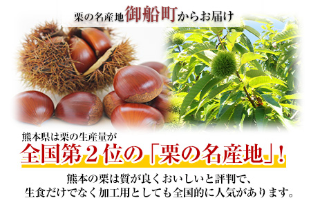 【先行予約】生栗 先行予約  約2kg(2L-Lサイズ) 《2026年9月上旬-9月下旬頃出荷》