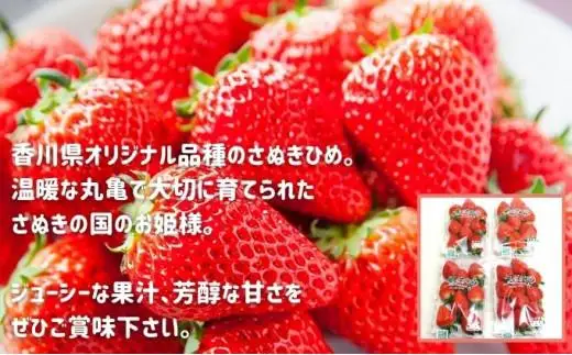 【12月から順次発送 】 いちごのお姫様 さぬきひめ  約250g×4パック 香川県 丸亀市
