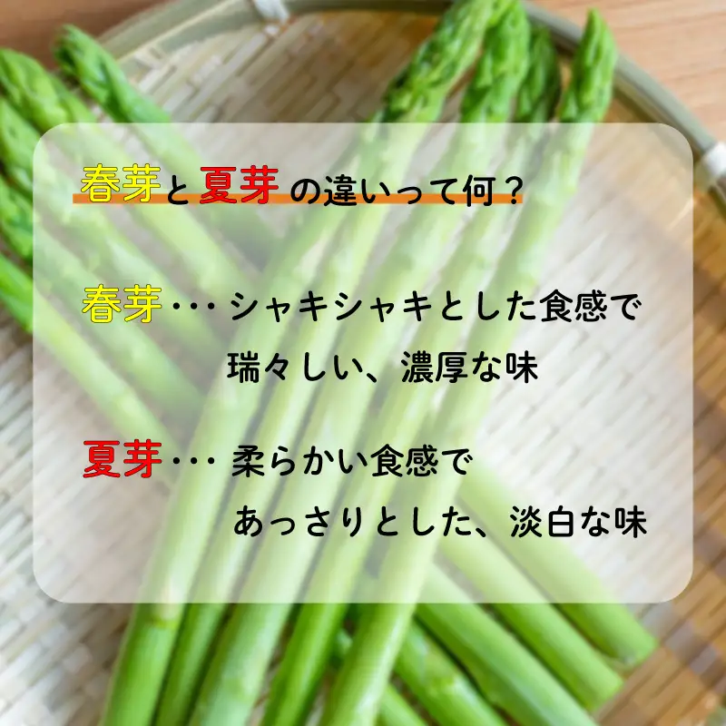 【訳あり】【先行予約】 アスパラガス さぬきのめざめ 夏芽 1kg  香川県 丸亀市 