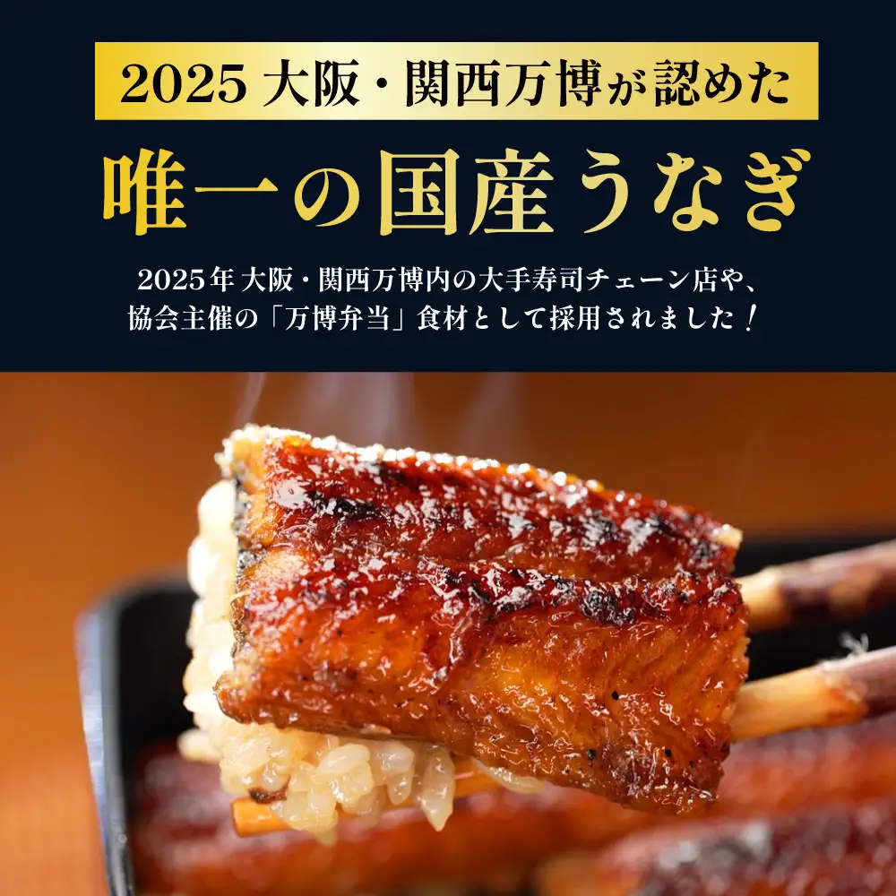 鰻 鰻の蒲焼き2尾セット