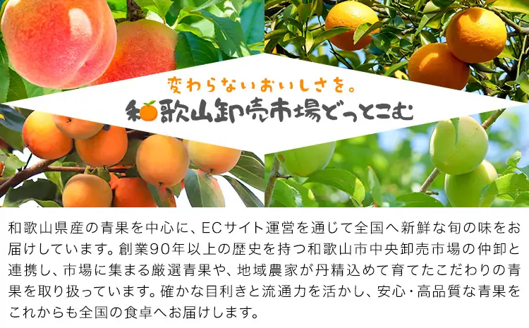 訳あり 柿 紀の川柿 約5kg