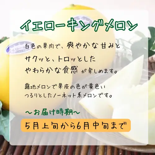 青果市場の野菜ソムリエ厳選 ジューシー メロン 3兄弟 定期便 全3回