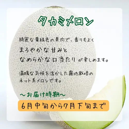 青果市場の野菜ソムリエ厳選 ジューシー メロン 2兄弟 定期便 全2回