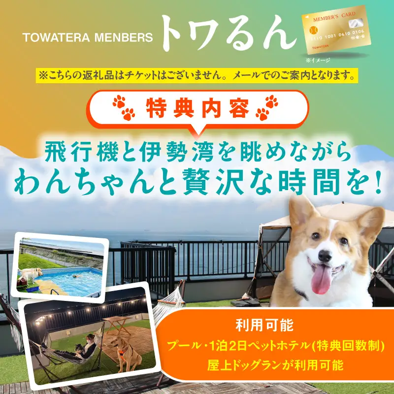 【TOWATERAメンバーズ】ドッグラン、ペットホテルなどをお得に利用できる「トワるん」会員入会| ペット 常滑市