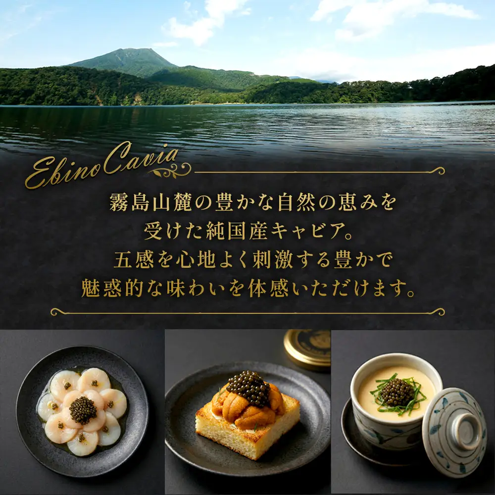 【ふるさと納税】キャビア 国産 40g 冷凍 宮崎県 えびの市産