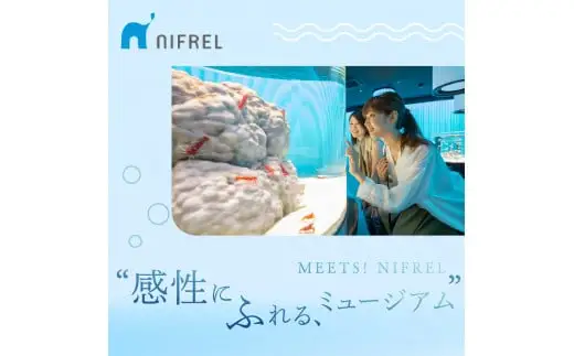 【3カ月ごとお届け】ニフレル入館券 大人1枚+こども1枚 全4回 