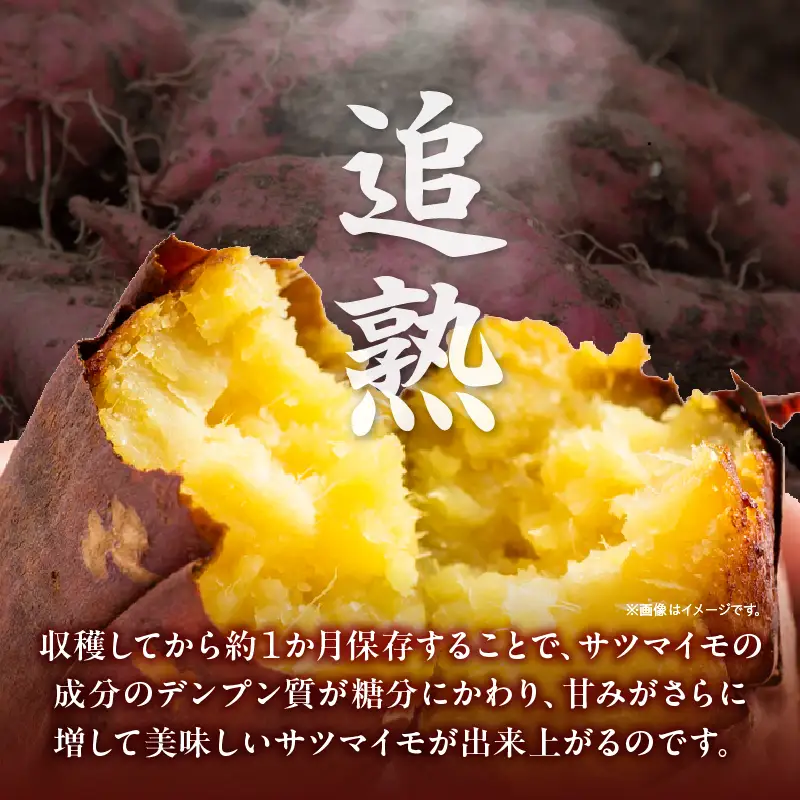 【定期便2ヶ月】さつまいも 金時 1.8kg・H126