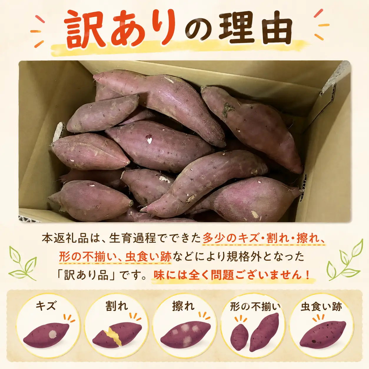 さつまいも 生芋 紅はるか 10kg 訳あり サツマイモ 【9月下旬～11月下旬発送】