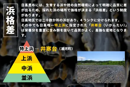 【訳あり】特上浜 井寒台産「日高茎根昆布」120g[53-1627]