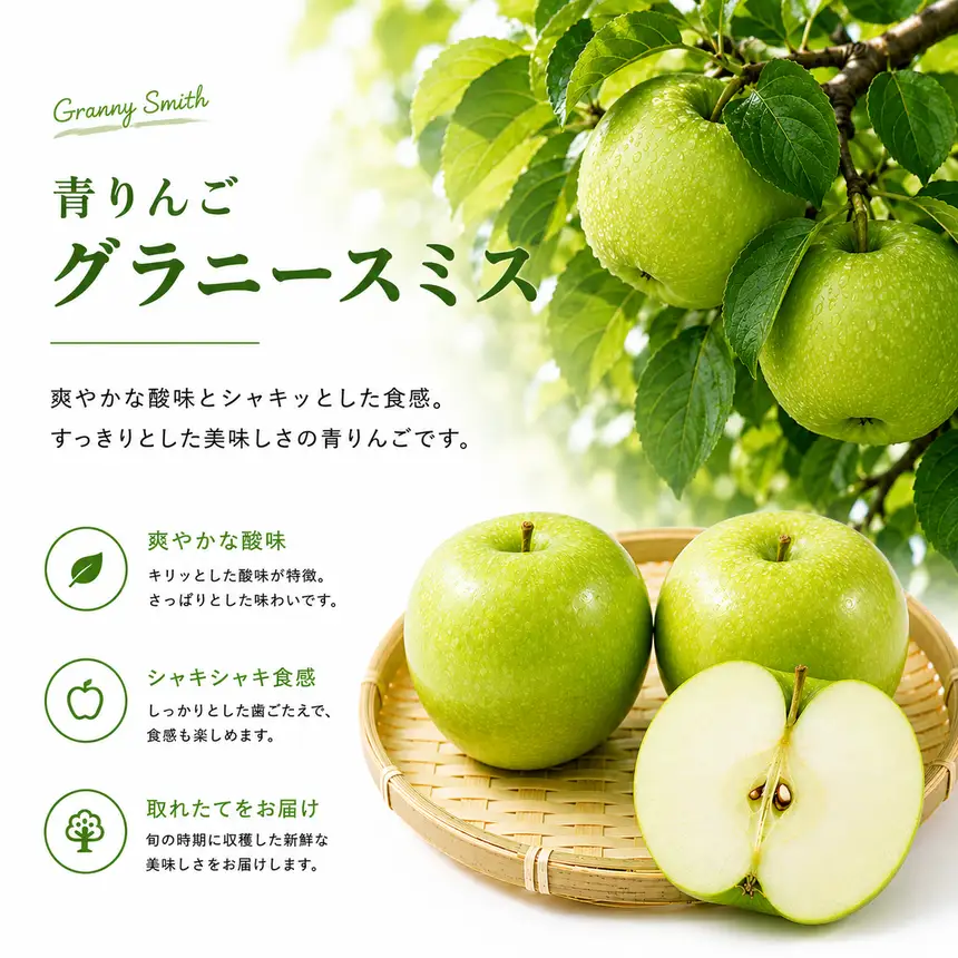 先行予約 青りんご グラニースミス 約2kg 約3kg  2026年11月上旬～2027年2月下旬発送予定［小布施屋］フルーツ 果物 長野県産