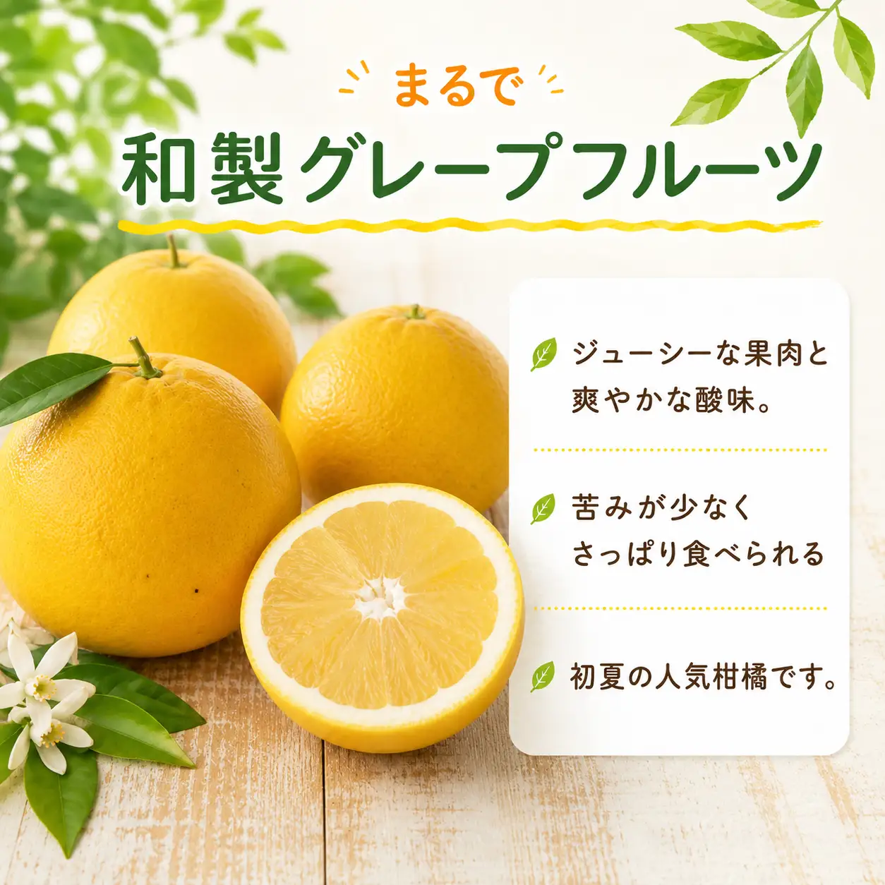 河内晩柑 (愛南ゴールド) 大玉小玉ミックス 9kg 河内晩柑 愛なんよ ainanyo021