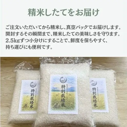 【先行予約】令和8年産 特別栽培米コシヒカリ 5kg新潟県田上町