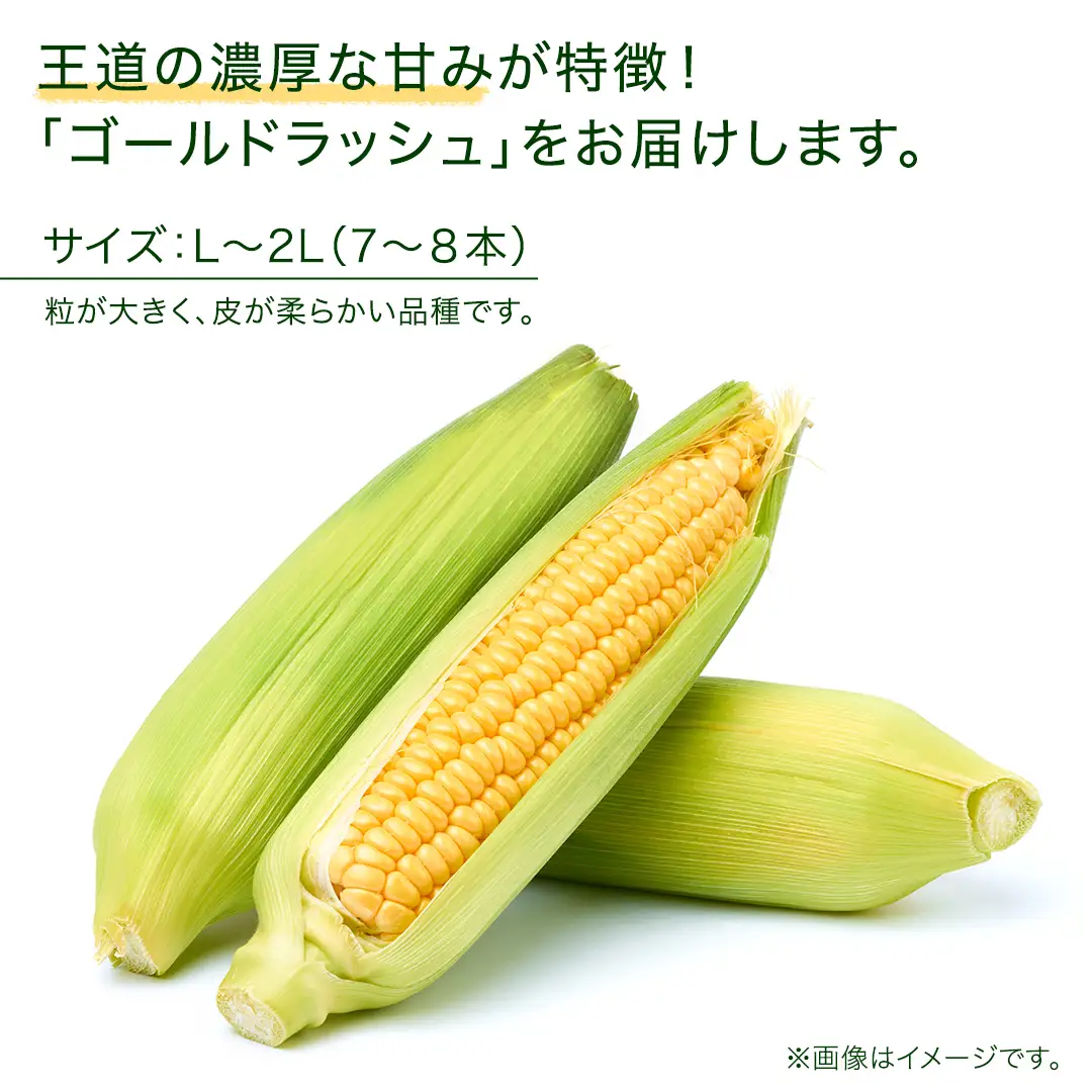 【7月下旬発送開始】とうもろこし ゴールドラッシュ 3kg （7～8本） [BT002tu]