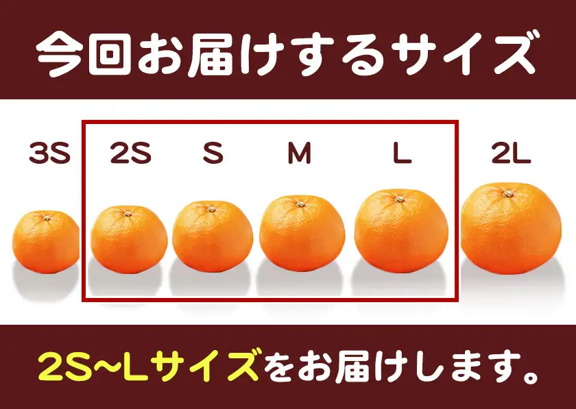 訳あり 若野みかん (2S～Lサイズ)  約3kg マルエイ農園