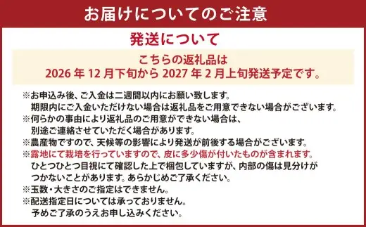 【先行受付】特別栽培スイートスプリング 10kg サイズミックス スイートスプリング みかん フルーツ 果物 果実 特別栽培 九州 熊本県産【2026年12月下旬から2027年2月上旬発送予定】
