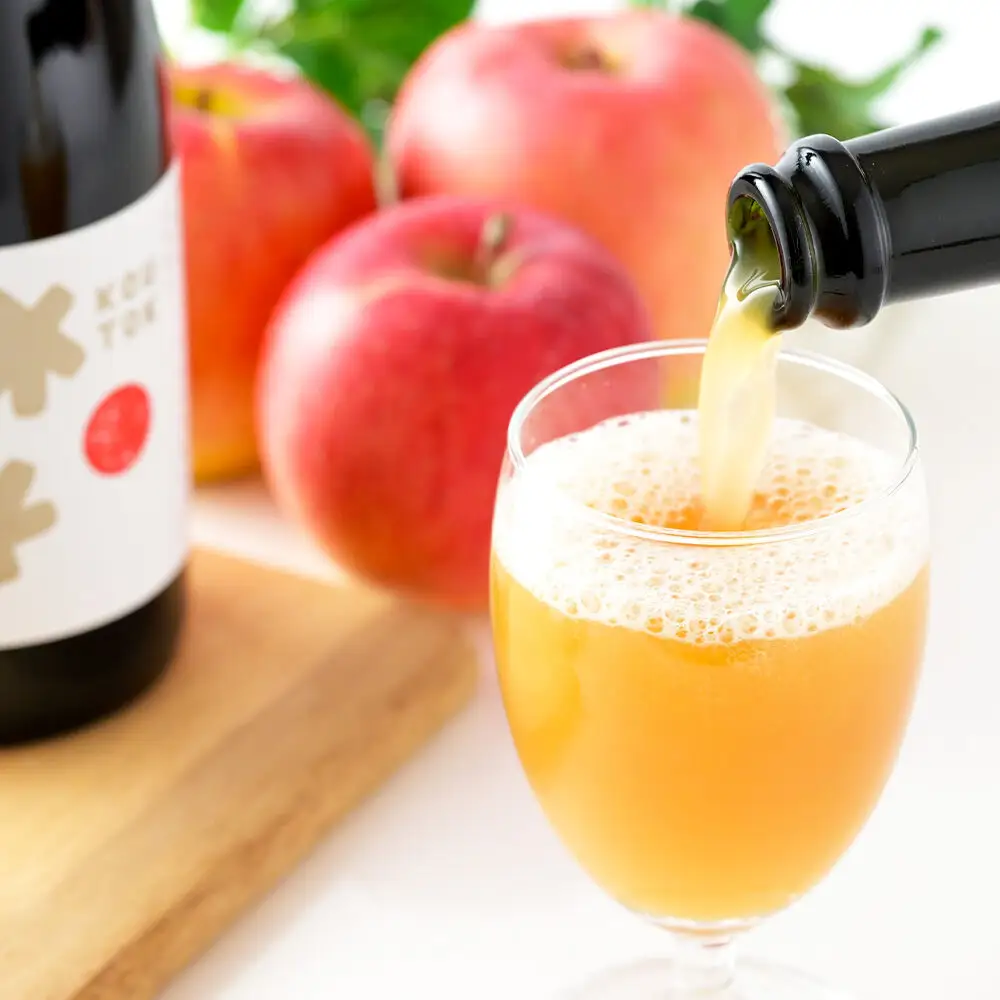 未来を育てるりんごのお酒 テキカカシードル（こうとく）フルボトル 750ml×2本入 お酒 青森 弘前 林檎 リンゴ