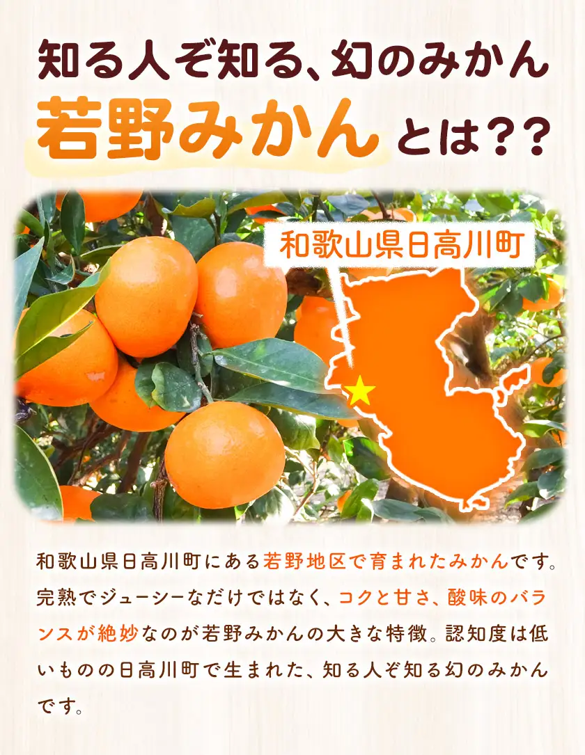 訳あり 小玉若野みかん (2S-3Sサイズ)  約3kg マルエイ農園
