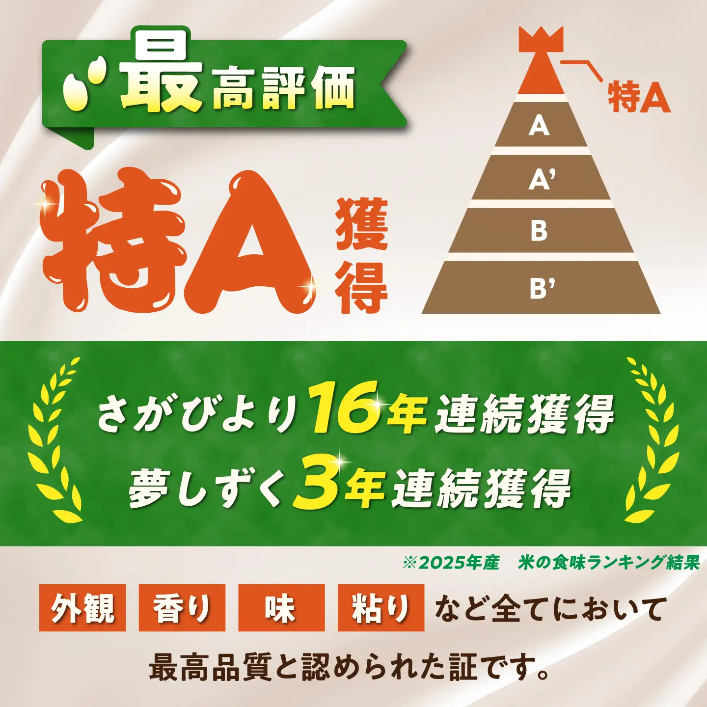 【12回定期便】 無洗米 毎月 10kg （さがびより・夢しずく交互お届け） 無洗米 お米 白米 精米 佐賀県産 米 /大塚米穀店[UFE025]