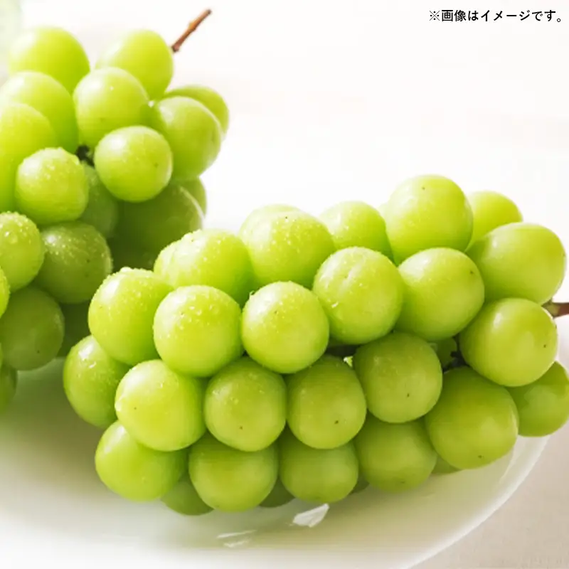 【朝倉産】シャインマスカット 約2kg(3～6房)【国産 シャインマスカット ぶどう ブドウ 葡萄 フルーツ 旬 デザート果物 くだもの さっぱり上品 人気 贈り物 福岡県 筑前町 AE057】