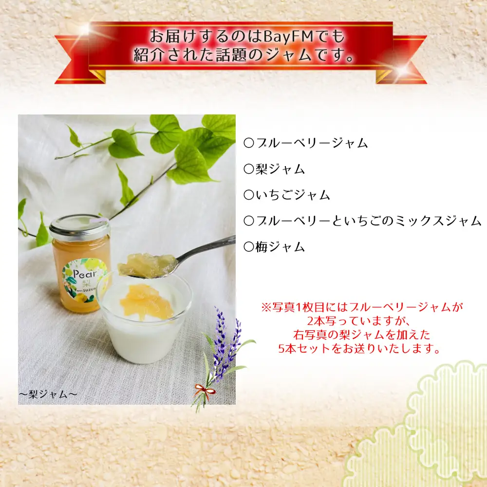 果肉ごろごろ！ジャムギフト5種セット ／ ジャム 食べ比べ フルーツジャム 果肉ごろごろ 果肉たっぷり ギフトセット 朝食 パンのお供 ヨーグルト トースト お取り寄せ 手作りジャム ブルーベリージャム いちごジャム 梨ジャム 梅ジャム ミックスジャム 保存料不使用 着色料不使用 贈答用 千葉県 No.096