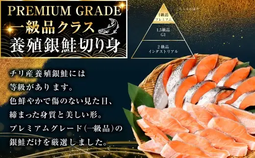 【 通常発送 】 ★一級品プレミアム銀鮭★ 旨味抜群 第三弾 キングサイズの甘塩銀鮭 厚切 5切 鮭 銀鮭 しゃけ シャケ さけ サケ 魚 切身 切り身 冷凍 パック おかず 甘塩