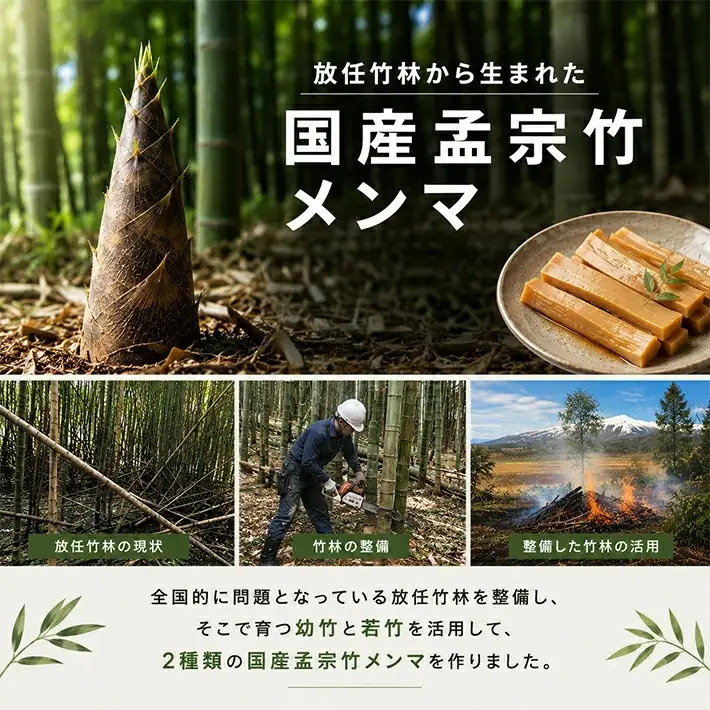 遊佐産メンマセット 板メンマ 山形玉コン味 300g×3袋 鳥海遊佐メンマ 煮干しラーメン味 150g×3袋 計6袋 山形県遊佐産 おつまみ おかず 醤油ラーメン トッピング 極太メンマ 若竹メンマ 幼竹メンマ 孟宗竹 東北 庄内 遊佐町 まえむき [1599]