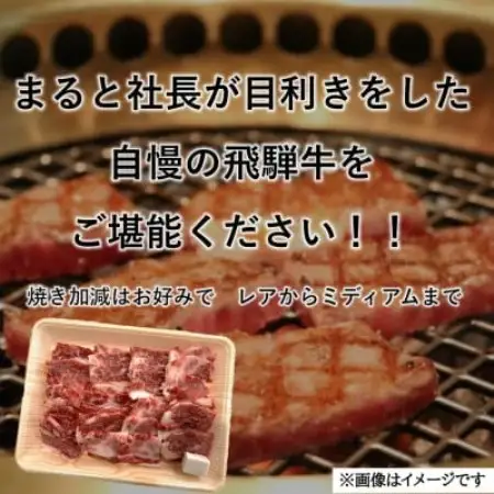 【飛騨牛】カルビ焼肉用 計600g(牛脂付き)【配送不可地域：離島】【1745861】