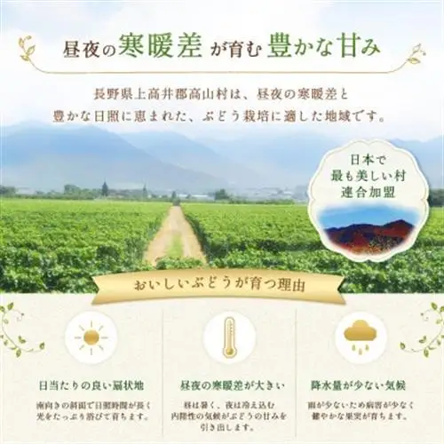 【2026年先行受付】信州高山村産 ★シャインマスカット★秀品2房+訳あり品(粒)　合計1.2kg!【配送不可地域：離島・北海道・沖縄県】【1741837】