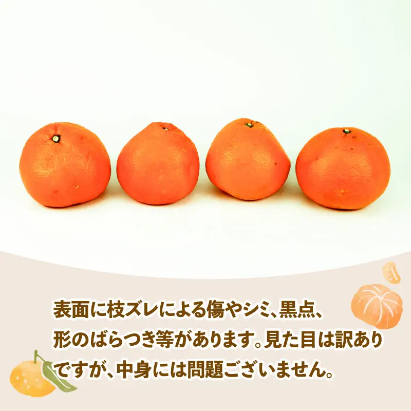 みかん 訳あり 伊予柑 いよかん 約5kg スーパー山田屋 先行予約 果物 くだもの フルーツ 柑橘 mikan 蜜柑 愛媛蜜柑 愛媛みかん わけあり サイズ 不揃い 産地直送 数量限定 国産 愛媛 宇和島 B010-198005