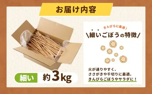 鹿児島県産 洗い【細い】 ごぼう 約3kg 【規格外・訳あり品】【2026年12月上旬-3月下旬発送予定】 ZS-9101