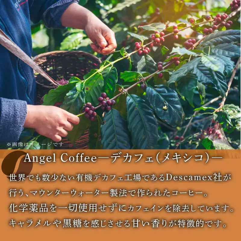 【定期便3回】京都 デカフェ コーヒー豆 200g カフェインレスコーヒー