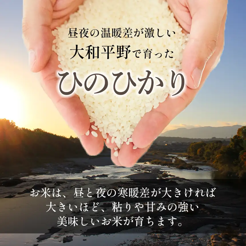【定期便3回】 奈良大和路 ひのひかり 白米 5kg 【令和7年産】 | コメ 米 こめ お米 おこめ オコメ ひのひかり おにぎり 白米 無洗米 おにぎり | 奈良県 五條市
