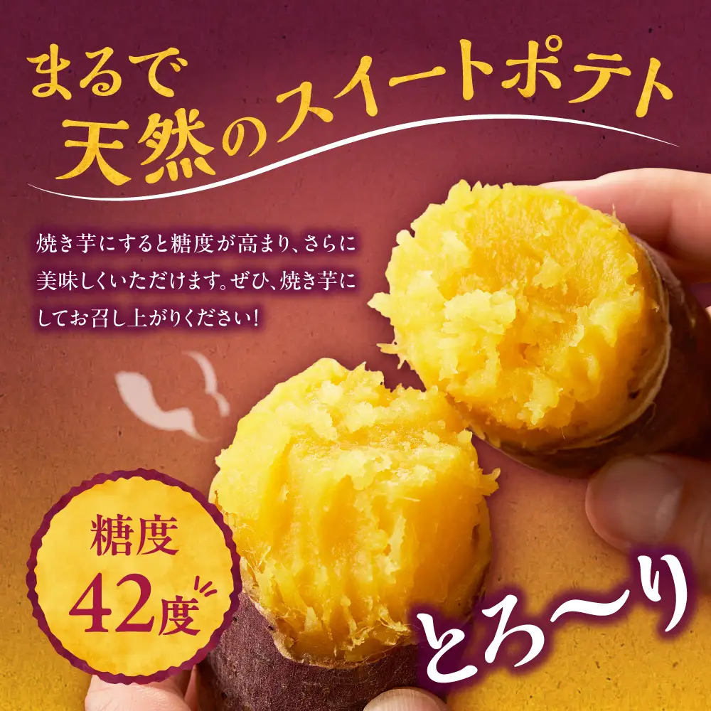 【先行予約】石狩産 土付サツマイモ 紅はるか（S～3Lサイズ混在） 5kg【10月発送】｜野菜 さつまいも 北海道 石狩市