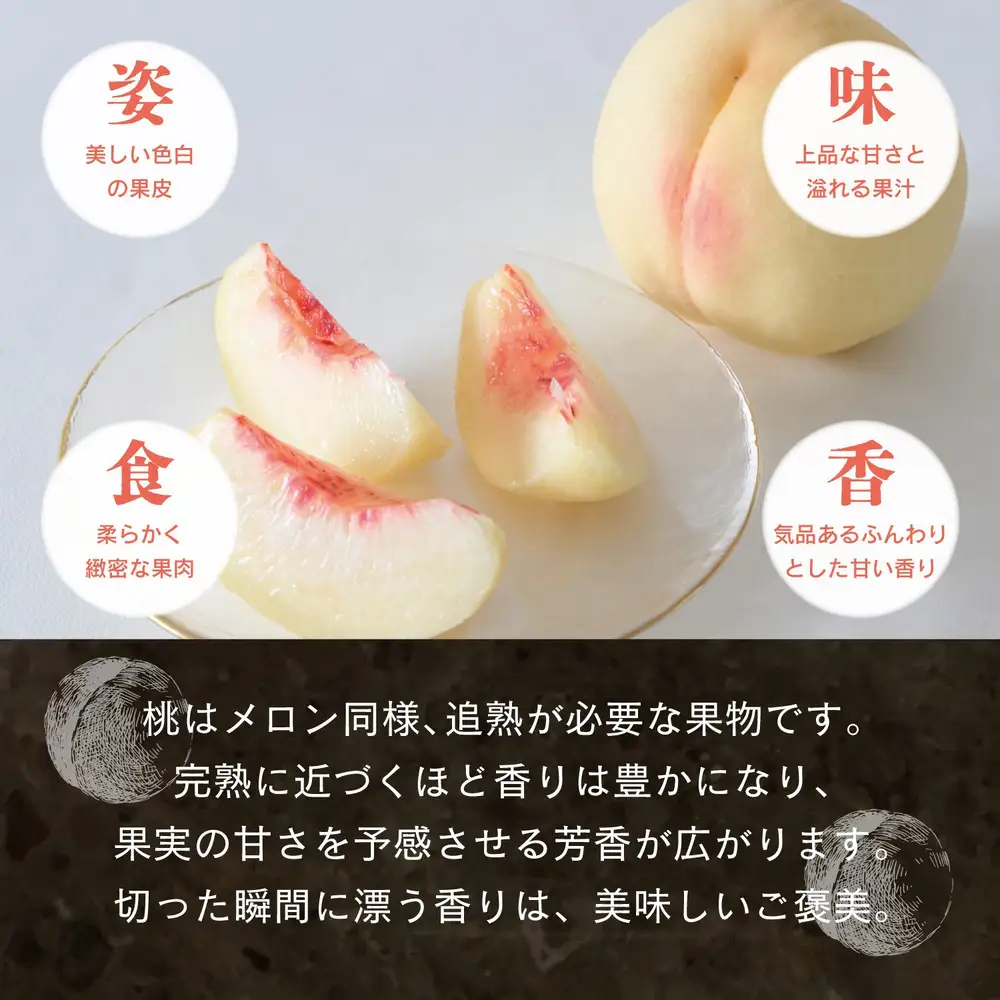 晴れの国　おかやまの白桃＆黄金桃食べ比べ4玉　＜先行受付：2026年8月下旬～発送＞