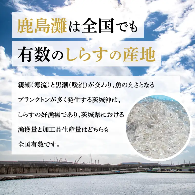 【 しらす 】 釜揚げしらす 300g 「常陸乃国しらす」 ブランド