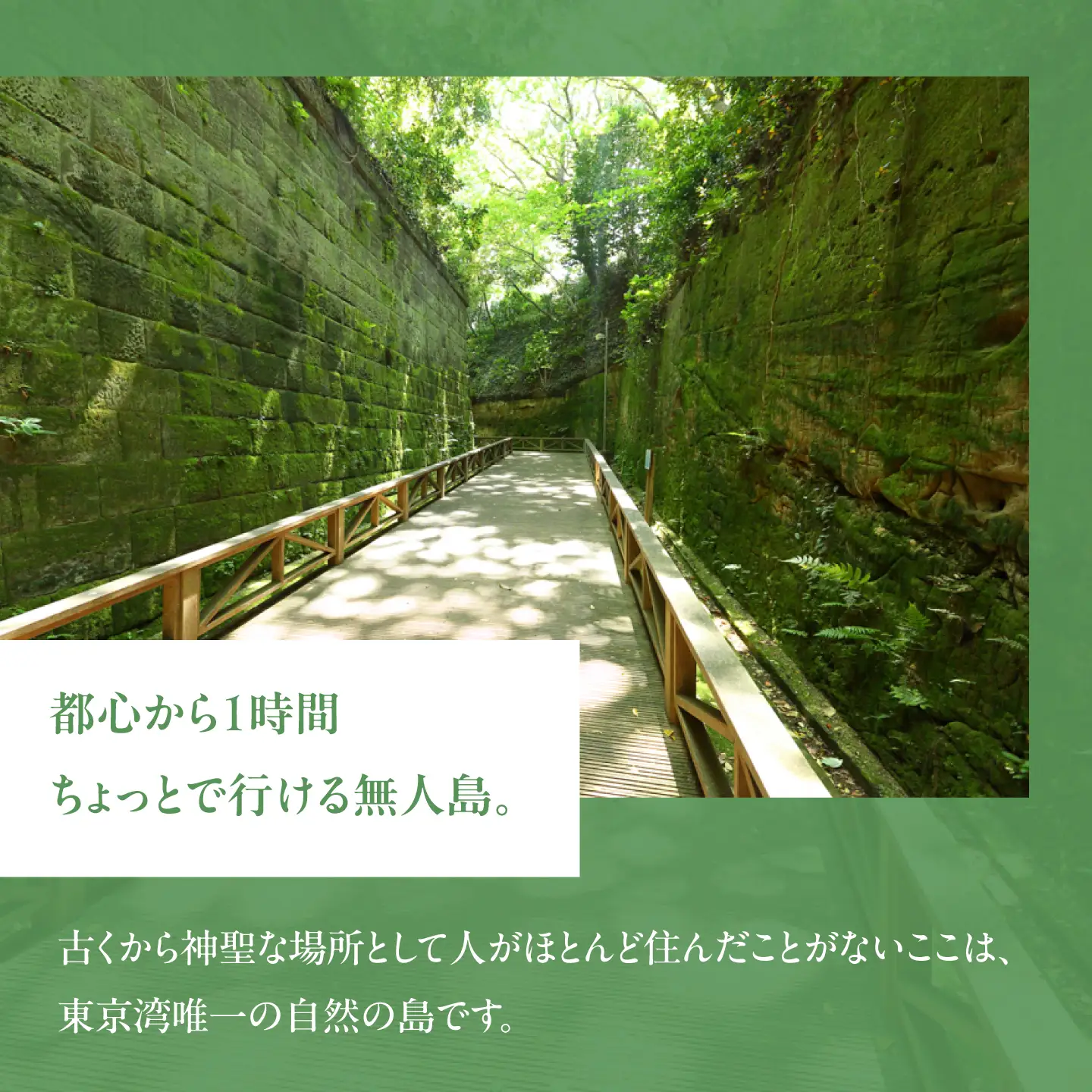 無人島・猿島航路の往復乗船券（ペア）【株式会社トライアングル】[AKFY002]