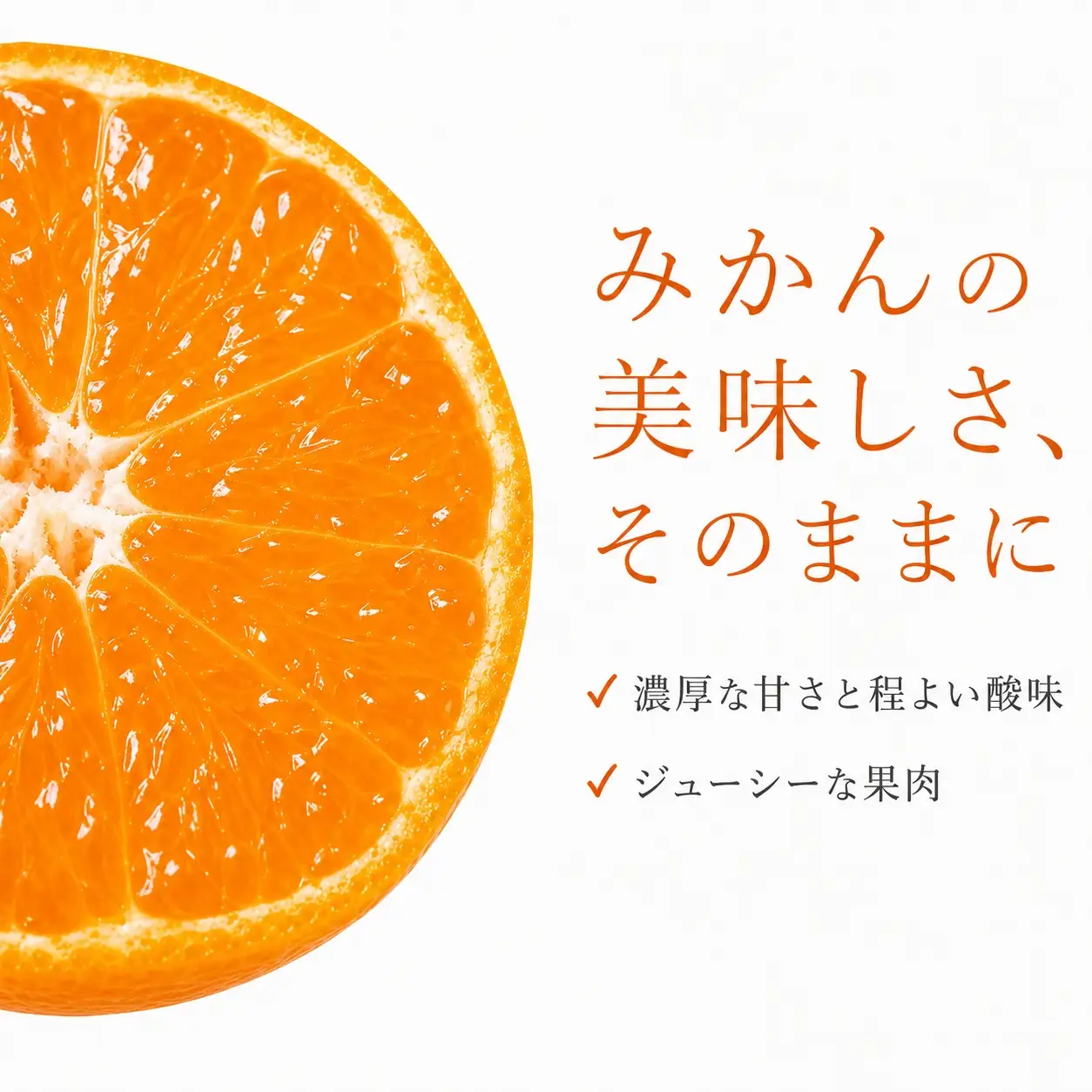 和歌山有田みかん10kg【訳ありご家庭用】2S〜2Lサイズ混合 ※2026年11月下旬頃～12月下旬頃に順次発送予定 ※日付指定不可  柑橘 果物 くだもの フルーツ【uot871】