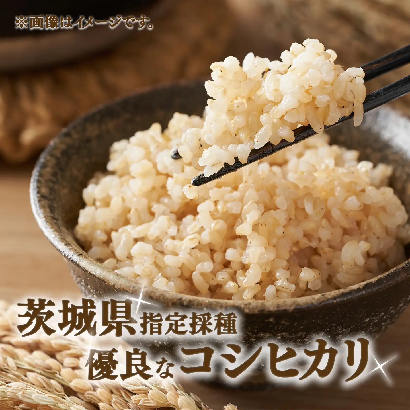 【定期便】令和7年産 コシヒカリ玄米 10kg×3回 こしひかり