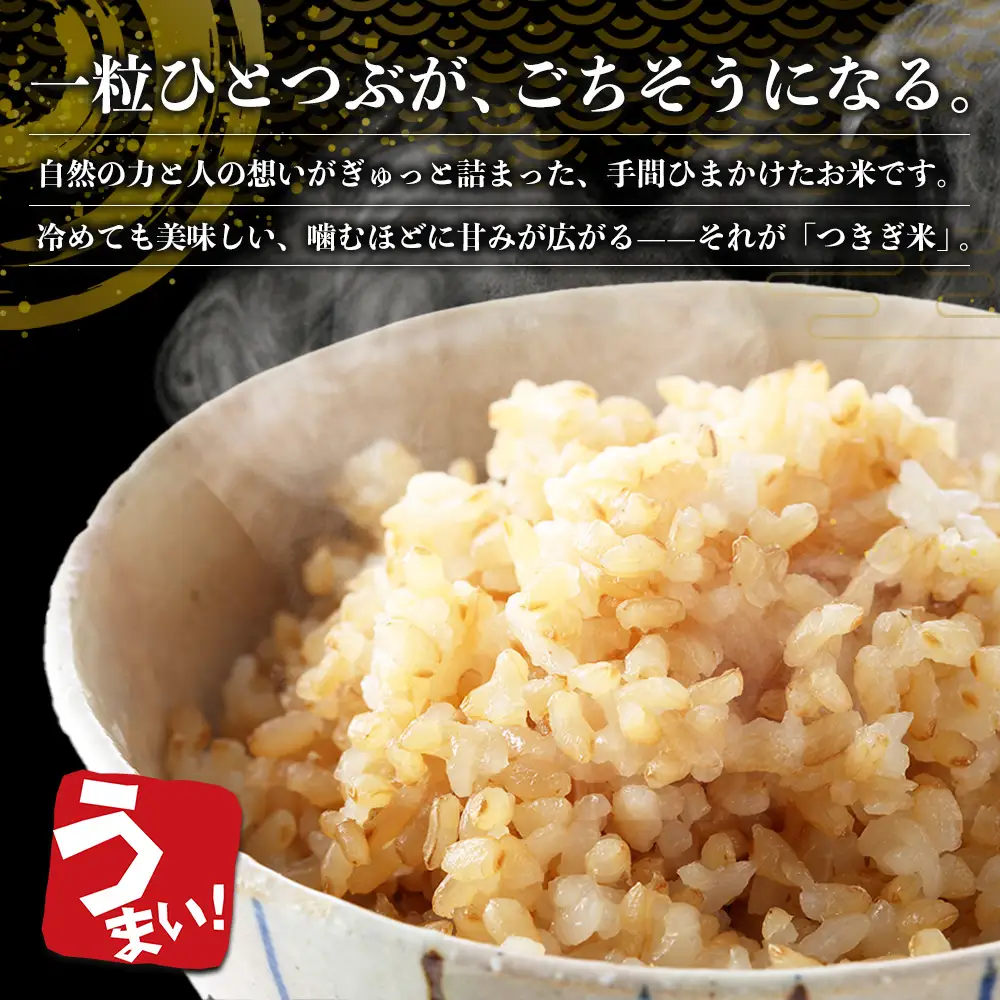 【令和8年産 玄米 】10月上旬～発送 多良木町産 にこまる 「つきぎ米」 玄米 5kg ハサ干し米 多良木町 たらぎ 槻木 新米 お米 米 熊本県 10キロ 117-0502