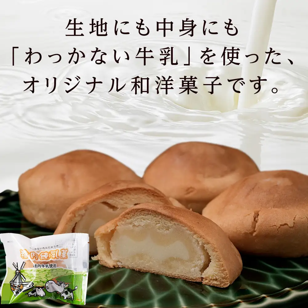 さいほく稚内練乳菓 10個入り×2箱