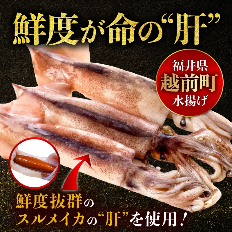 天然スルメイカ肝 焼酎漬け 約770g(110g×7P）いか 冷凍 [e38-a008]