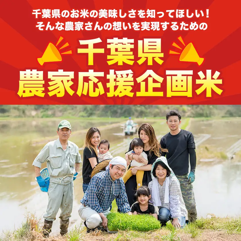 米 精米 千葉めぐみ米 20kg 千葉県産