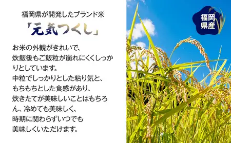 【令和7年産】 福岡県 大木町産 元気つくし 5kg　BC02_2