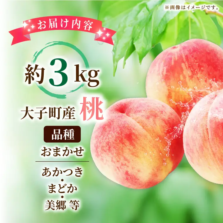 【先行予約・数量限定】大子町産「桃」約3kg 品種おまかせ（あかつき・まどか・美郷 等）｜茨城県 大子町 令和8年産 もも モモ フルーツ 果物 おまかせ 詰め合わせ 産地直送 旬 人気 厳選 奥久慈りんご園（AI008）