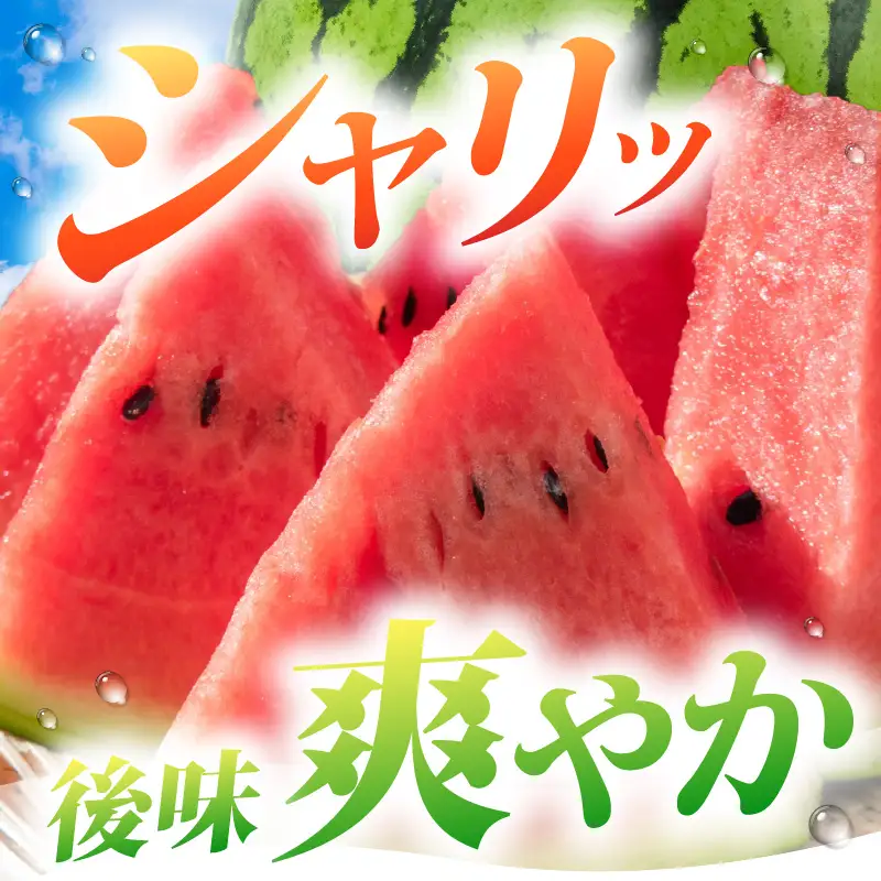 【先行予約】藤重農園の露地スイカ 羅皇ザ・スイート １玉（約7kg）※2027年7月中旬以降順次発送 [aw083-a004]